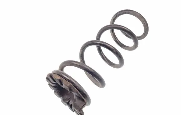 Nissan Murano Z52 Rear coil spring 550363JA0A