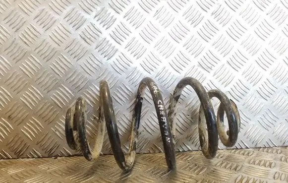 Rear coil spring