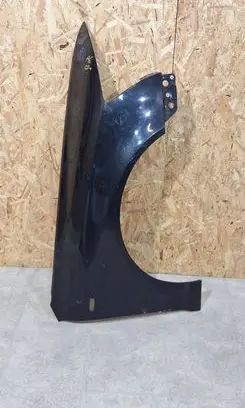 Fender
