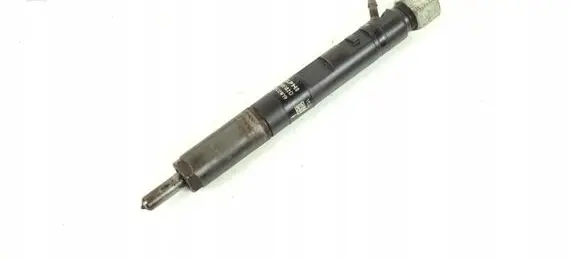Renault Kangoo I Fuel injector EJBR05102D
