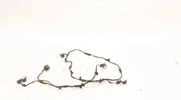 Other wiring loom