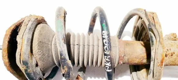 Toyota Corolla Verso AR10 Front coil spring