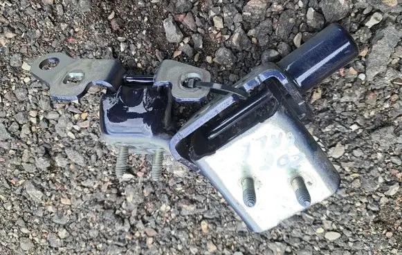 Renault Zoe Rear door hinge set 11716R