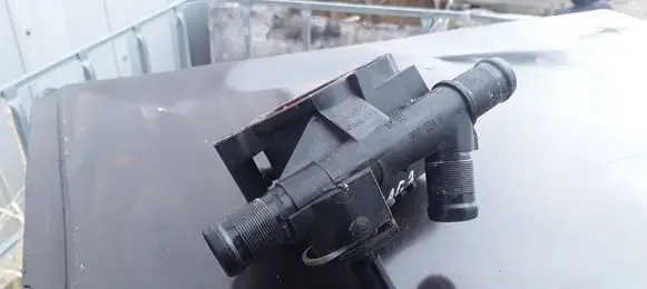 Thermostat/thermostat housing