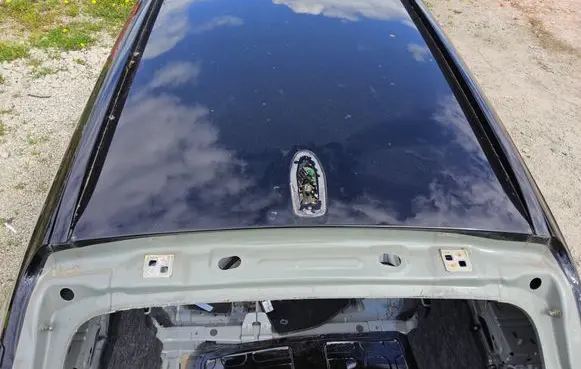 Volvo XC40 Roof