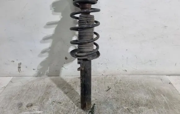 Volkswagen Golf V Front shock absorber/damper 1T0413031HE