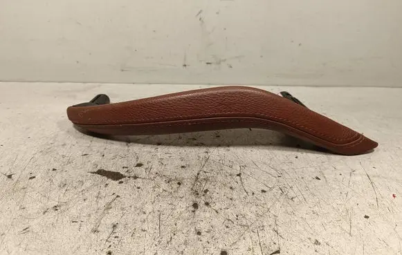 BMW X5 F15 Rear door handle trim 15P3071