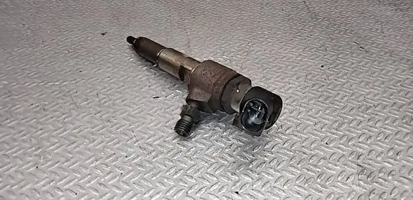 Citroen C5 Fuel injector 50274V05 9674973080