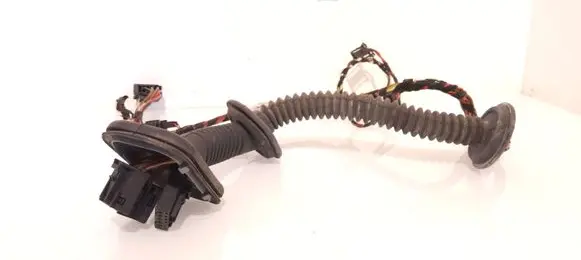 Front door wiring loom