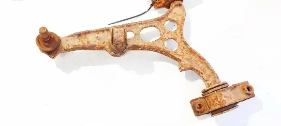 Front lower control arm/wishbone