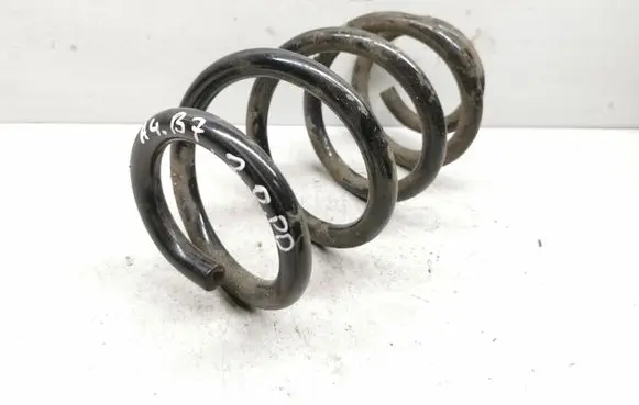 Front coil spring