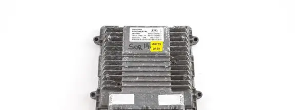 KIA Sorento Engine control unit/module 391032GBK5 391132GBK5 5WY4V63C