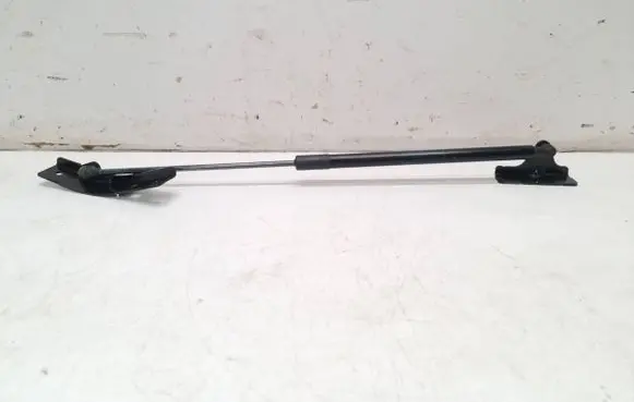 Renault Talisman Tailgate/trunk strut/damper 904522251R