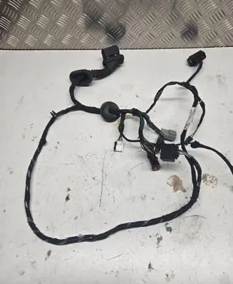 Front door wiring loom