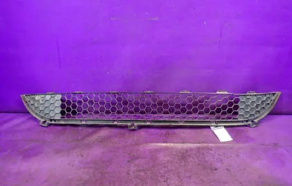 Peugeot 1007 Front bumper lower grill 