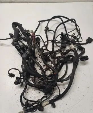 Engine installation wiring loom