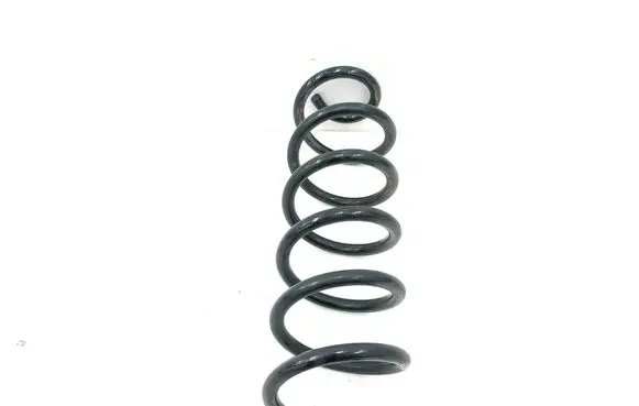 Toyota RAV 4 (XA50) Rear coil spring 