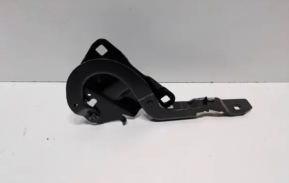 Renault Zoe Engine bonnet/hood hinges 654018609R EST1