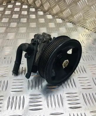 Hyundai Santa Fe Power steering pump