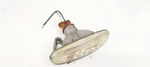 Front fender indicator light