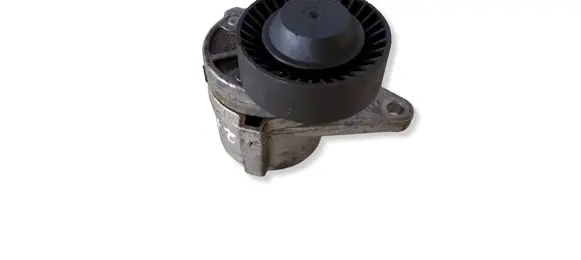 Volvo S60 Generator/alternator belt tensioner S19003