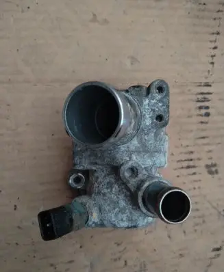 Thermostat/thermostat housing