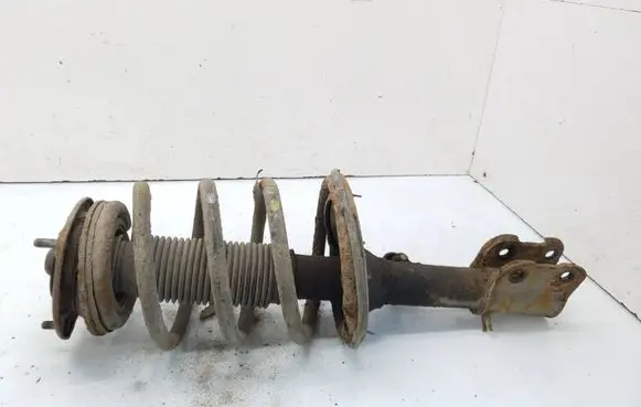 Hyundai ix 55 Front shock absorber with coil spring 