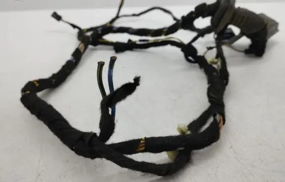 BMW X5 E53 Rear door wiring loom 691372901
