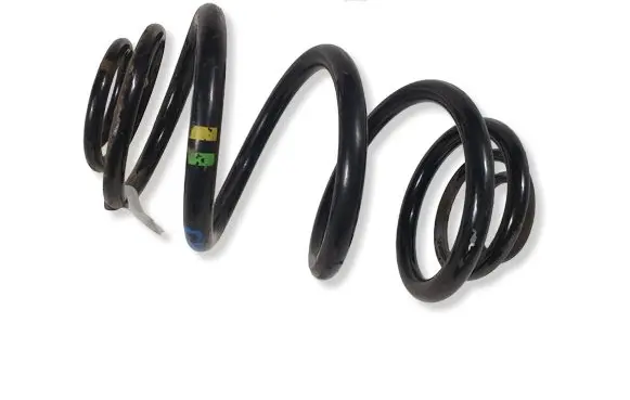 Renault Trafic III (X82) Rear coil spring 