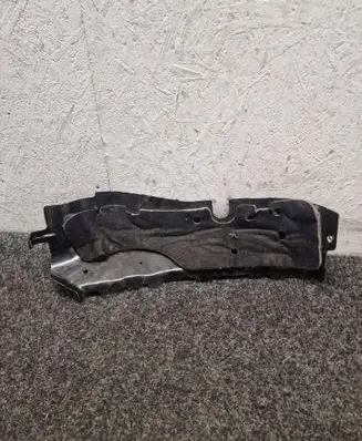 Mercedes-Benz AMG GT R190 C190 Heat shield in engine bay A1906821200