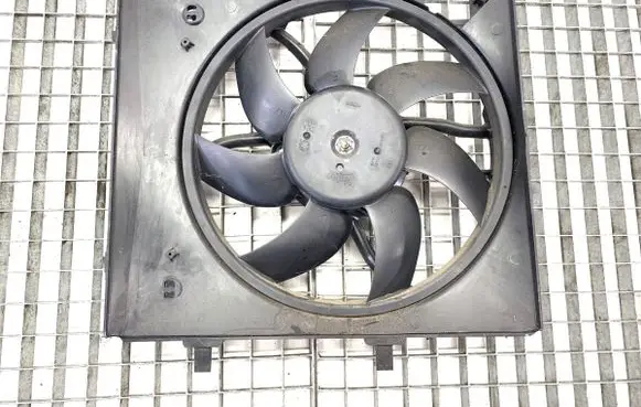 Citroen C3 Fan set 9829774580