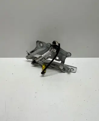Audi A5 Engine bonnet/hood hinges 8W6823301E