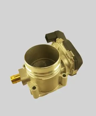 BMW 5 G30 G31 Throttle valve