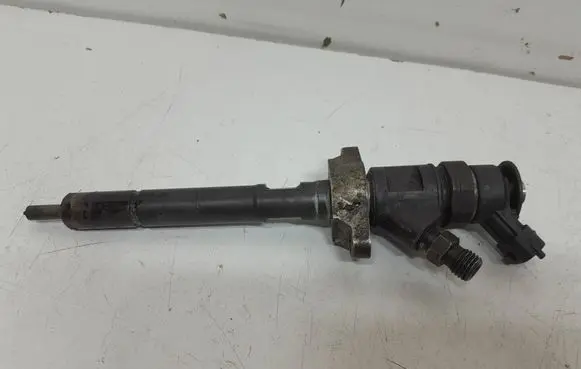 Citroen C4 I Picasso Fuel injector 0445110297 920029