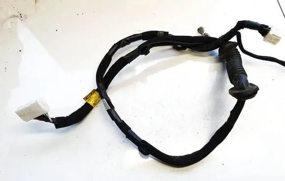 Hyundai Ioniq Other wiring loom 18508119