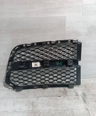 Dodge RAM 1500 DS Front grill 13DSHC1011