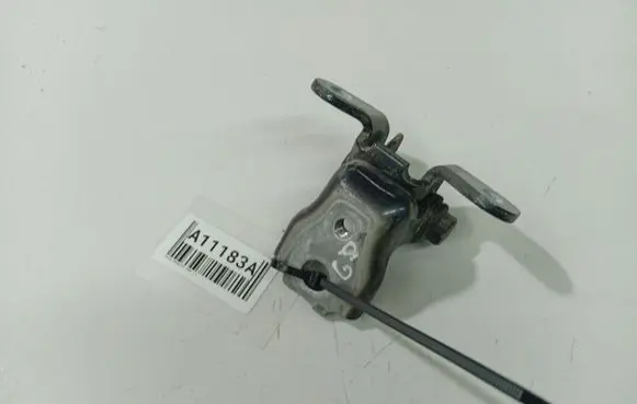 Skoda Roomster (5J) Rear door lower hinge 