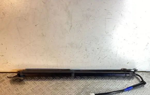 Tailgate/trunk strut/damper