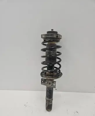 Skoda Roomster (5J) Front shock absorber with coil spring 383330egt