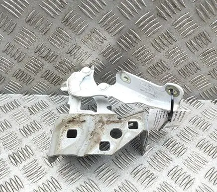 Opel Vivaro Engine bonnet/hood hinges 654010249R 93458897