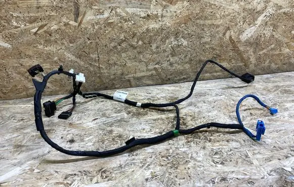 Mercedes-Benz CL C216 Front door wiring loom A2165405907