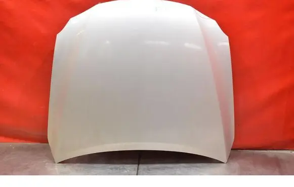 Engine bonnet/hood