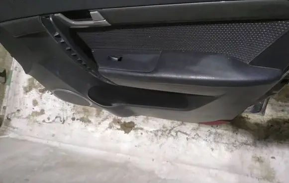 Chevrolet Captiva Front door card panel trim 