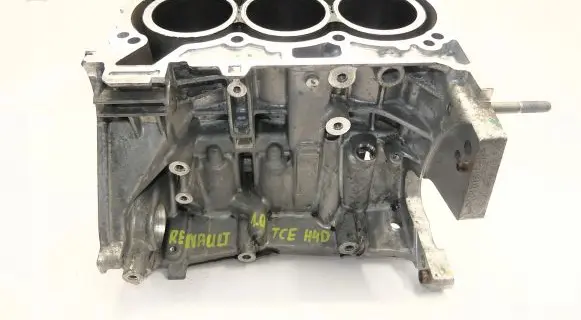 Dacia Sandero III Engine block 110119230R