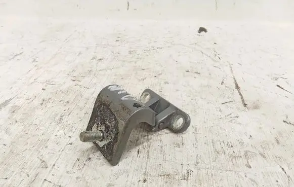 Tailgate/trunk/boot hinge