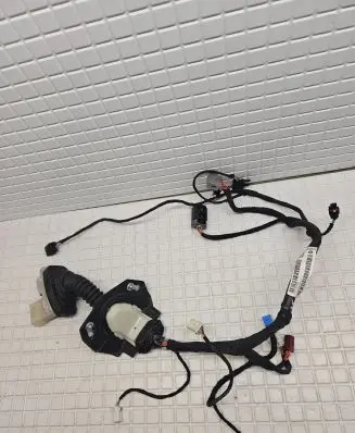 Front door wiring loom