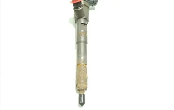 Renault Captur Fuel injector H8201453073 0445110653