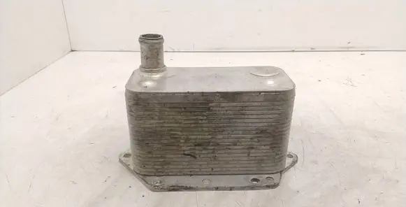 BMW 3 E46 Engine oil radiator D4B012TT TH309N50