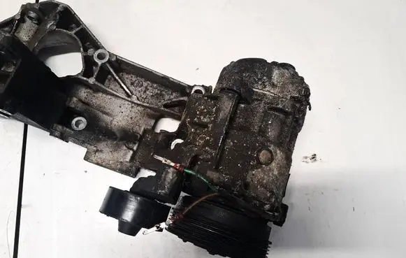 Volkswagen PASSAT B5.5 Air conditioning (A/C) compressor (pump) 0396908744