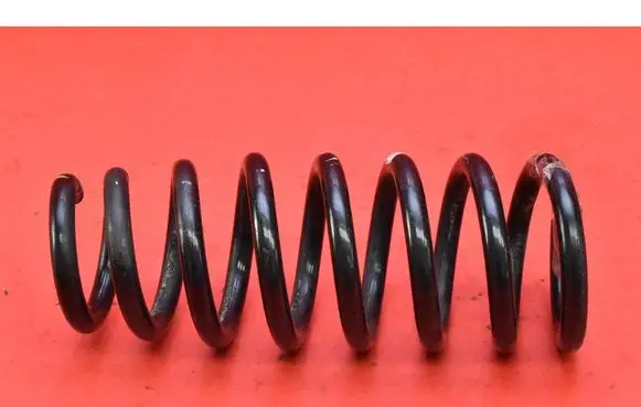 Hyundai Genesis Rear coil spring 